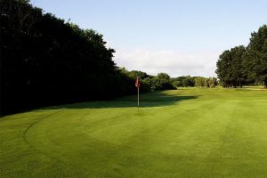 golf clubs